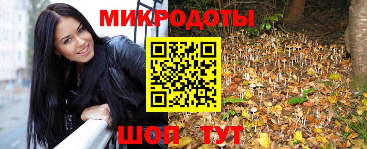 Галлюциногенные грибы Psilocybine cubensis Иваново