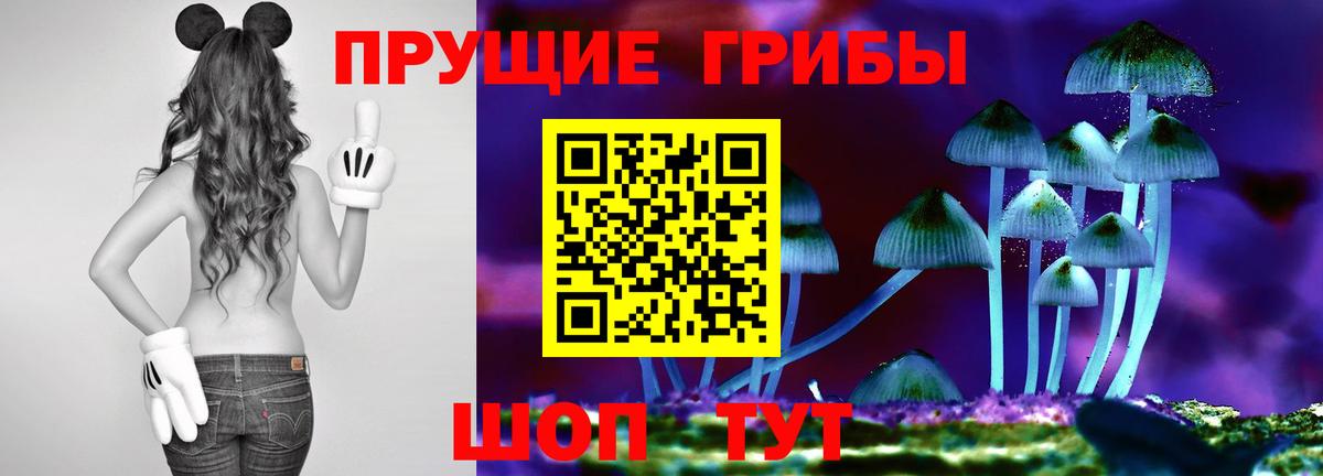 Иваново  Галлюциногенные грибы Cubensis  Псилоцибиновые грибы GOLDEN TEACHER  Вход с VPN 